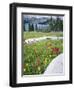 Boulders Amid Wildflowers, Ryder Lake, High Uintas Wilderness, Wasatch National Forest, Utah, USA-Scott T^ Smith-Framed Photographic Print