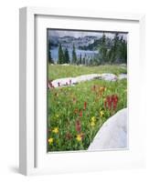 Boulders Amid Wildflowers, Ryder Lake, High Uintas Wilderness, Wasatch National Forest, Utah, USA-Scott T^ Smith-Framed Photographic Print