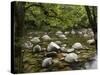 Boulders and Mossman River, Mossman Gorge, Daintree National Park, North Queensland, Australia-David Wall-Stretched Canvas