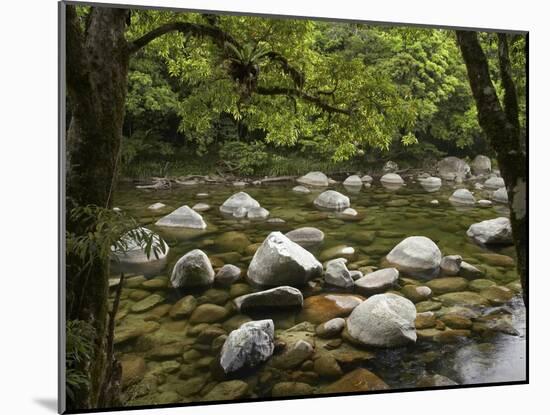 Boulders and Mossman River, Mossman Gorge, Daintree National Park, North Queensland, Australia-David Wall-Mounted Premium Photographic Print