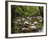 Boulders and Mossman River, Mossman Gorge, Daintree National Park, North Queensland, Australia-David Wall-Framed Photographic Print