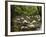 Boulders and Mossman River, Mossman Gorge, Daintree National Park, North Queensland, Australia-David Wall-Framed Photographic Print