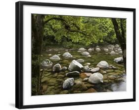 Boulders and Mossman River, Mossman Gorge, Daintree National Park, North Queensland, Australia-David Wall-Framed Photographic Print