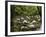 Boulders and Mossman River, Mossman Gorge, Daintree National Park, North Queensland, Australia-David Wall-Framed Photographic Print