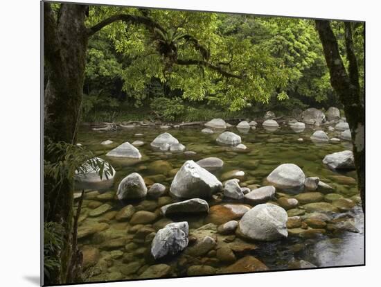 Boulders and Mossman River, Mossman Gorge, Daintree National Park, North Queensland, Australia-David Wall-Mounted Photographic Print