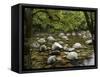 Boulders and Mossman River, Mossman Gorge, Daintree National Park, North Queensland, Australia-David Wall-Framed Stretched Canvas