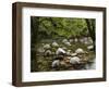 Boulders and Mossman River, Mossman Gorge, Daintree National Park, North Queensland, Australia-David Wall-Framed Photographic Print