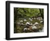 Boulders and Mossman River, Mossman Gorge, Daintree National Park, North Queensland, Australia-David Wall-Framed Photographic Print