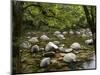 Boulders and Mossman River, Mossman Gorge, Daintree National Park, North Queensland, Australia-David Wall-Mounted Photographic Print