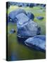 Boulders and Reflection, Little Salmon River, Idaho, USA-Charles Gurche-Stretched Canvas