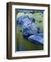 Boulders and Reflection, Little Salmon River, Idaho, USA-Charles Gurche-Framed Photographic Print