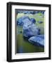 Boulders and Reflection, Little Salmon River, Idaho, USA-Charles Gurche-Framed Photographic Print