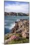 Boulders and Wildflowers-Michael Blanchette Photography-Mounted Photographic Print