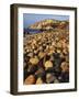 Boulders, Aquinnah (Gay Head) Cliffs, Martha's Vineyard, Massachusetts, USA-Charles Gurche-Framed Photographic Print