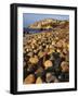 Boulders, Aquinnah (Gay Head) Cliffs, Martha's Vineyard, Massachusetts, USA-Charles Gurche-Framed Photographic Print