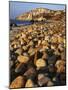 Boulders, Aquinnah (Gay Head) Cliffs, Martha's Vineyard, Massachusetts, USA-Charles Gurche-Mounted Photographic Print