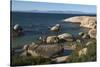 Boulders Beach African Penguins Colony. Western Cape, South Africa-Pete Oxford-Stretched Canvas