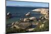 Boulders Beach African Penguins Colony. Western Cape, South Africa-Pete Oxford-Mounted Photographic Print
