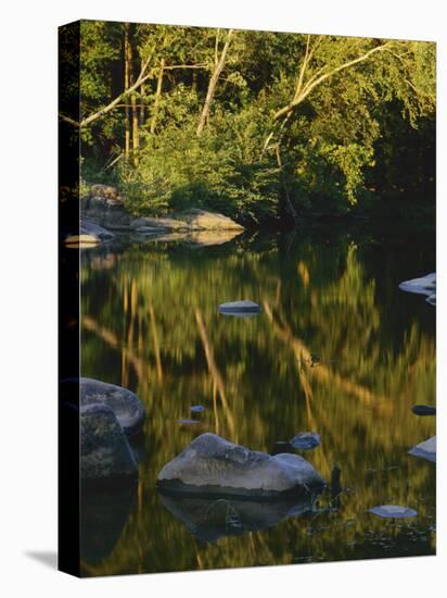 Boulders in St. Francis River, Mark Twain National Forest, Missouri, USA-Charles Gurche-Stretched Canvas