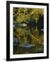 Boulders in St. Francis River, Mark Twain National Forest, Missouri, USA-Charles Gurche-Framed Photographic Print
