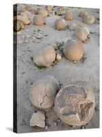 Boulders in the Pumpkin Patch, Ocotillo Wells State Vehicular Recreation Area, California-James Hager-Stretched Canvas