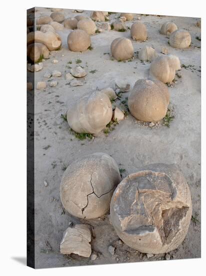 Boulders in the Pumpkin Patch, Ocotillo Wells State Vehicular Recreation Area, California-James Hager-Stretched Canvas