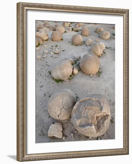 Boulders in the Pumpkin Patch, Ocotillo Wells State Vehicular Recreation Area, California-James Hager-Framed Photographic Print