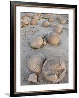 Boulders in the Pumpkin Patch, Ocotillo Wells State Vehicular Recreation Area, California-James Hager-Framed Photographic Print