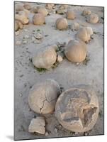 Boulders in the Pumpkin Patch, Ocotillo Wells State Vehicular Recreation Area, California-James Hager-Mounted Photographic Print