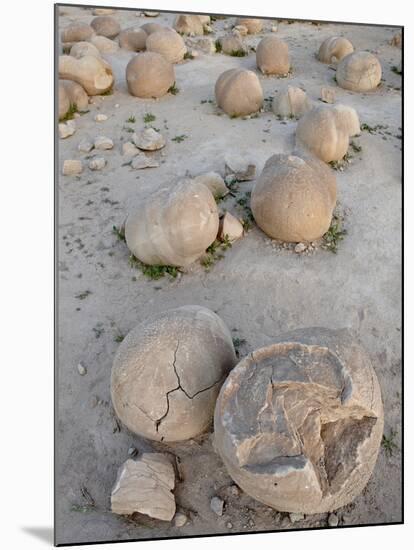 Boulders in the Pumpkin Patch, Ocotillo Wells State Vehicular Recreation Area, California-James Hager-Mounted Photographic Print