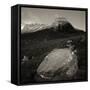 Boulders in Valley near Stac Pollaidh-null-Framed Stretched Canvas