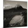 Boulders in Valley near Stac Pollaidh-null-Mounted Photographic Print