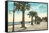 Boulevard along Beach, Santa Barbara, California-null-Framed Stretched Canvas