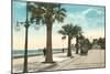 Boulevard along Beach, Santa Barbara, California-null-Mounted Art Print