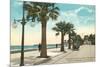 Boulevard along Beach, Santa Barbara, California-null-Mounted Premium Giclee Print