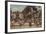 Boulevard Bonnard, Saigon, Cochinchina-null-Framed Photographic Print