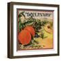 Boulevard Brand - Claremont, California - Citrus Crate Label-Lantern Press-Framed Art Print