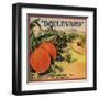 Boulevard Brand - Claremont, California - Citrus Crate Label-Lantern Press-Framed Art Print