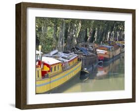 Boulevard De Monplaisir, Canal Du Midi, Unesco World Heritage Site, Haute-Garonne-Bruno Barbier-Framed Photographic Print