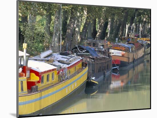 Boulevard De Monplaisir, Canal Du Midi, Unesco World Heritage Site, Haute-Garonne-Bruno Barbier-Mounted Photographic Print