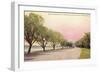 Boulevard Drive, Minneapolis, Minnesota-null-Framed Art Print