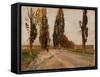 Boulevard of Poplars Near Plankenberg, C. 1890-Emil Jakob Schindler-Framed Stretched Canvas