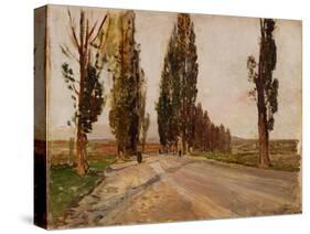 Boulevard of Poplars Near Plankenberg, C. 1890-Emil Jakob Schindler-Stretched Canvas