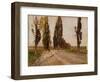 Boulevard of Poplars Near Plankenberg, C. 1890-Emil Jakob Schindler-Framed Giclee Print