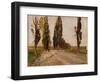 Boulevard of Poplars Near Plankenberg, C. 1890-Emil Jakob Schindler-Framed Giclee Print