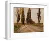 Boulevard of Poplars Near Plankenberg, C. 1890-Emil Jakob Schindler-Framed Giclee Print