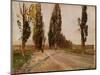 Boulevard of Poplars Near Plankenberg, C. 1890-Emil Jakob Schindler-Mounted Giclee Print