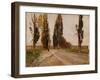 Boulevard of Poplars Near Plankenberg, C. 1890-Emil Jakob Schindler-Framed Giclee Print