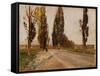 Boulevard of Poplars Near Plankenberg, C. 1890-Emil Jakob Schindler-Framed Stretched Canvas