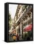 Boulevard St. Michel, Paris, France-Charles Bowman-Framed Stretched Canvas